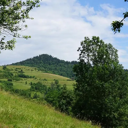 Dom Na Skarpie Mszana Gorna